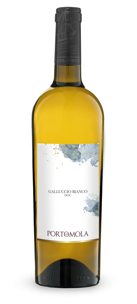Galluccio Bianco DOC