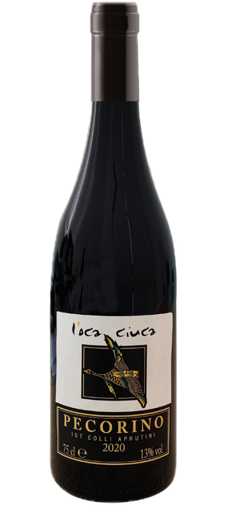 Pecorino